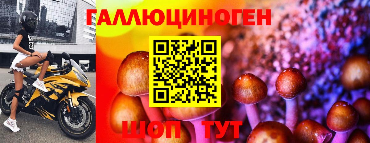 Псков  Псилоцибиновые грибы Psilocybe  Вход с VPN  Псилоцибиновые грибы MAGIC MUSHROOMS 
